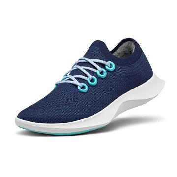 Blue / White Men's Allbirds Tree Dasher 1 Running Shoes | ZA4165IS