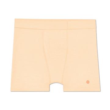 Brown Men's Allbirds Trino® Boxer Brief Underwear | ZA4272TV