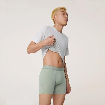 Green Men's Allbirds Trino® Boxer Brief Underwear | ZA4274EX