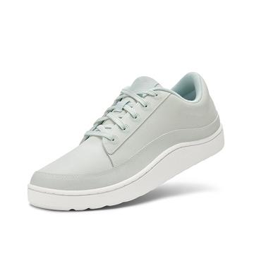 Grey Men's Allbirds Plant Pacers Sneakers | ZA4000PQ