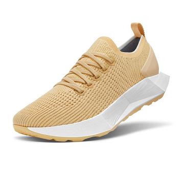 Khaki Women's Allbirds Tree Flyers Running Shoes | ZA4607OR