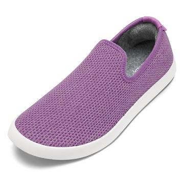 Purple / White Men's Allbirds Tree Loungers Slip On Shoes | ZA4101DN