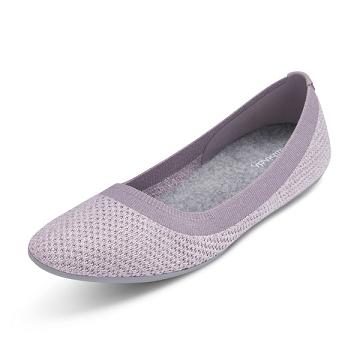 Purple Women's Allbirds Tree Breezers Flat Shoes | ZA4666WY