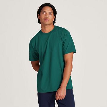 Turquoise Men's Allbirds Allgood Cotton T Shirts | ZA4298YU