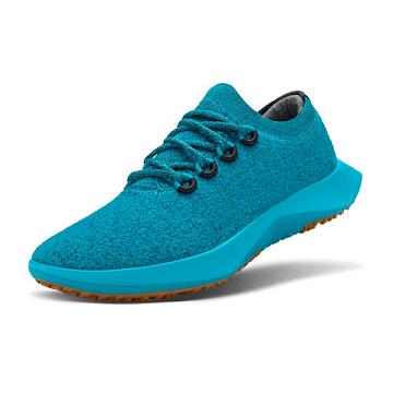 Turquoise Men's Allbirds Wool Dasher Mizzles Waterproof Shoes | ZA4251QZ