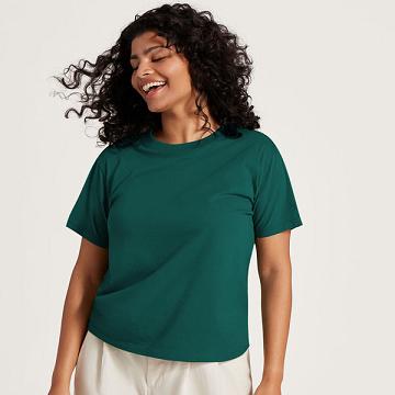 Turquoise Women's Allbirds Allgood Cotton T Shirts | ZA4748VD
